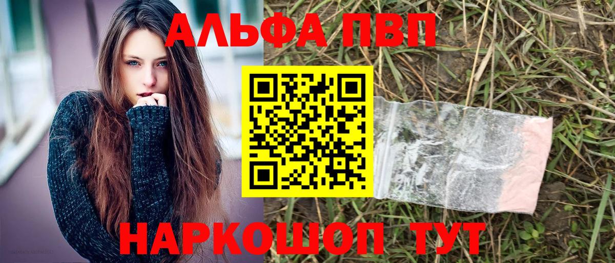Светлоград  Альфа ПВП СК КРИС  Альфа ПВП СК КРИС  A PVP  Вход с VPN 