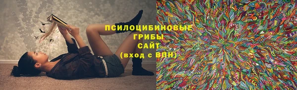 прущая мука Зеленокумск