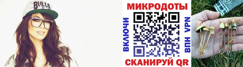 сколько стоит  Светлоград  Галлюциногенные грибы GOLDEN TEACHER 